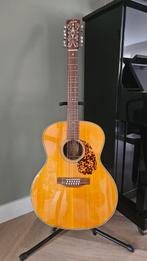 Blueridge BR-160 12-snarige gitaar, Muziek en Instrumenten, Snaarinstrumenten | Gitaren | Akoestisch, Ophalen, Gebruikt, Western- of Steelstringgitaar