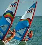 MISTRAL NAISH 1981 compleet en originele staat, Watersport en Boten, Windsurfen, Ophalen, 300 cm of meer, Met vin(nen), Complete set