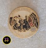 Haute Savoie pin - Zeldzaam!, Verzenden, Gebruikt, Stad of Land, Speldje of Pin