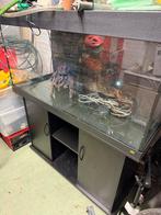 Aquarium juwel rio 350 compleet, Dieren en Toebehoren, Ophalen, Zo goed als nieuw, Leeg aquarium