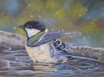 schilderij badende koolmees 305 - GRATIS lijst - eigen werk, Ophalen of Verzenden