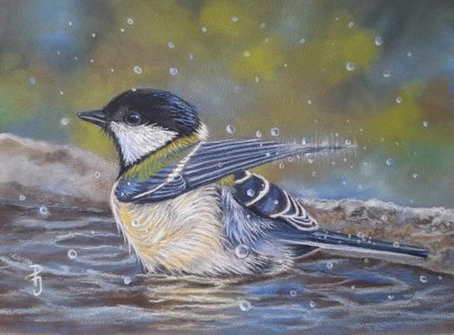 schilderij badende koolmees 305 - GRATIS lijst - eigen werk, Antiek en Kunst, Kunst | Schilderijen | Klassiek, Ophalen of Verzenden