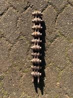 RidGid no. 246 Knipketting verlengstuk ., Ophalen