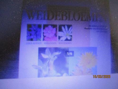 + weidebloemen bruno p. kremer 9789052101606 #, Boeken, Natuur, Gelezen, Vogels, Ophalen of Verzenden