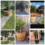 Eiken en kastanje Bloembakken/Plantenbakken, Ophalen, Tuin, Minder dan 60 cm, Rond
