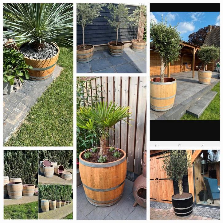 Eiken en kastanje Bloembakken/Plantenbakken, Tuin en Terras, Bloembakken en Plantenbakken, Nieuw, Hout, Binnen, Balkon, Tuin, 30 tot 60 cm