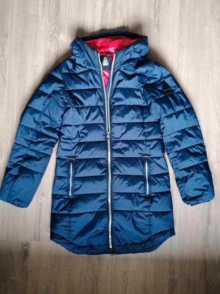Nieuwe donkerblauwe Gaastra winterjas maat S., Kleding | Dames, Jassen | Winter, Zo goed als nieuw, Maat 36 (S), Blauw, Ophalen of Verzenden