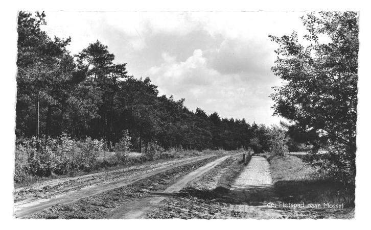 943020 Ede Gld 1959 Fietspad naar Mossel boom Gelopen met, Verzamelen, Ansichtkaarten | Nederland, Gelopen, Gelderland, 1940 tot 1960