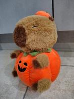 Schattige Capybara Knuffel - Pompoen, Kinderen en Baby's, Speelgoed | Knuffels en Pluche, Ophalen of Verzenden, Nieuw, Overige typen