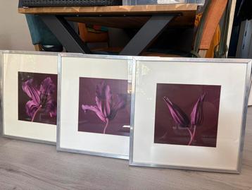 Ikea ribba fotolijst 50x50 beschikbaar voor biedingen