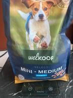 Puppy brokken welkoop, Dieren en Toebehoren, Ophalen of Verzenden, Hond