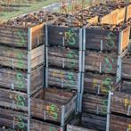 Te koop verse appelhout gezaagd in kist, Minder dan 3 m³, Ophalen