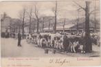 LEEUWARDEN 1907 Eerste veemarkt in Ned. gel, Gelopen, Friesland, Voor 1920, Verzenden