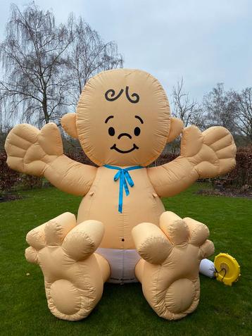 Verhuur geboorte baby voor gender reveal, baby shower beschikbaar voor biedingen