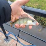 Deel 1) 2 setjes van elk 4 stuks Ultra Light spinnertjes, Watersport en Boten, Ophalen of Verzenden, Nieuw, Complete set