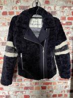 Giacomo blauwe winterjas jas small 36 - teddy - faux fur, Kleding | Dames, Jassen | Winter, Blauw, Ophalen of Verzenden, Zo goed als nieuw