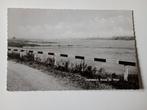 Dodewaard Rivier de Waal 1964, Verzamelen, Ansichtkaarten | Nederland, Ophalen of Verzenden, 1960 tot 1980, Ongelopen, Gelderland