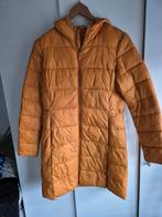 Dames jas tussenjas maat 38 M, Ophalen of Verzenden, Zo goed als nieuw, Maat 38/40 (M)