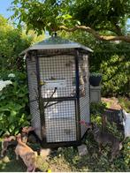 Grote rvs met stale vogel voliere vogelkooi, Dieren en Toebehoren, Ophalen, Zo goed als nieuw, Aluminium, Vogelkooi