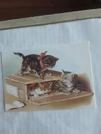 THE PACKING CASE, 1907   / POESJES, Verzamelen, Ansichtkaarten | Themakaarten, Ophalen of Verzenden