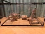 Terrarium, glas & rooster, Dieren en Toebehoren, Kooi, Gebruikt, Hamster, 75 tot 110 cm