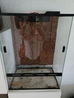 Glazen terrarium, Dieren en Toebehoren, Reptielen en Amfibieën | Toebehoren, Ophalen