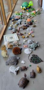 Schildpaddenverzameling, Ophalen of Verzenden, Zo goed als nieuw, Reptiel of Amfibie, Beeldje of Figuurtje