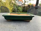 Mooie groen geglazuurde bonsaibak, Tuin en Terras, Bloempotten, Gebruikt, Aardewerk, Rechthoekig, Tuin