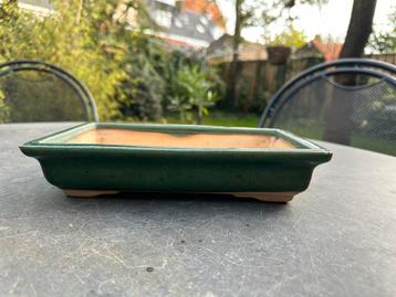 Mooie groen geglazuurde bonsaibak beschikbaar voor biedingen