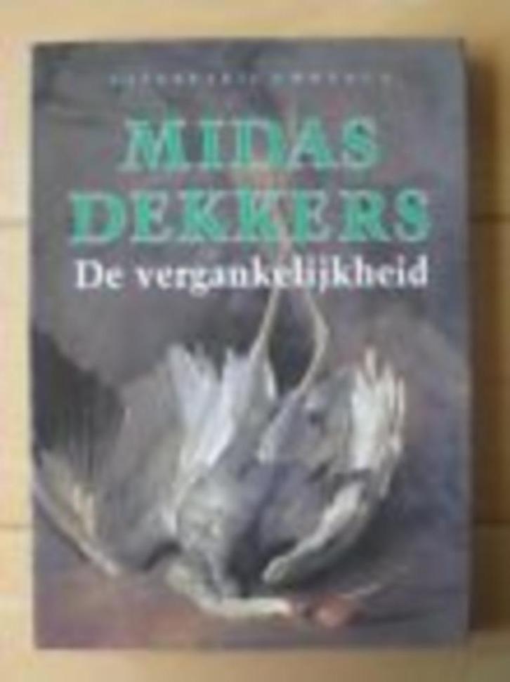 De vergankelijkheid, Boeken, Overige Boeken, Zo goed als nieuw, Ophalen of Verzenden
