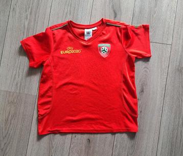 Portugal voetbalshirt UEFA Euro 2020 – maat 146/152 beschikbaar voor biedingen