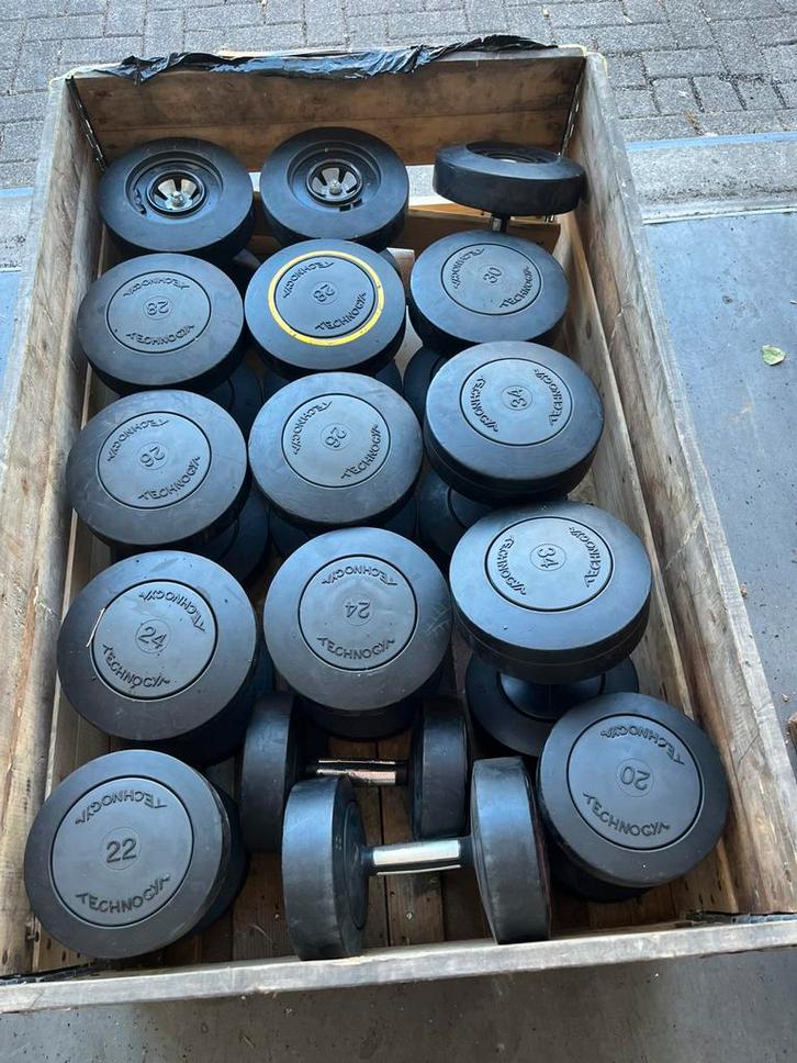 Technogym dumbbells 20-42 kg dumbbell set gewichten, Sport en Fitness, Fitnessmaterialen, Gebruikt, Dumbbell, Ophalen of Verzenden