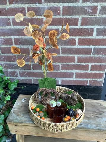 Herfst Plateau met Gouden Kalfje - Nijkerk beschikbaar voor biedingen