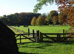 Tk gevraagd: (wei-) land omgeving Rheden voor goede prijs!, Dieren en Toebehoren, Stalling en Weidegang, 2 of 3 paarden of pony's