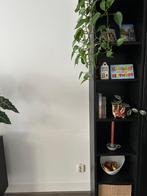Billy boekenkast, Ophalen, 200 cm of meer, 50 tot 100 cm, Zo goed als nieuw