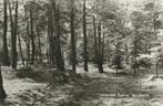 Hollandsche Rading - Bosgezicht [KRST005-6331, Verzamelen, Ansichtkaarten | Nederland, Verzenden, 1960 tot 1980, Gelopen, Noord-Holland