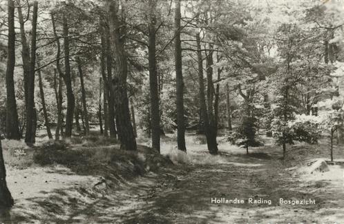 Hollandsche Rading - Bosgezicht [KRST005-6331, Verzamelen, Ansichtkaarten | Nederland, Gelopen, Noord-Holland, 1960 tot 1980, Verzenden