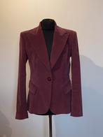 Prachtig fluwelen Dolce & Gabbana blazer, maat 38 😍, Maat 38/40 (M), Dolce & Gabbana, Paars, Ophalen of Verzenden