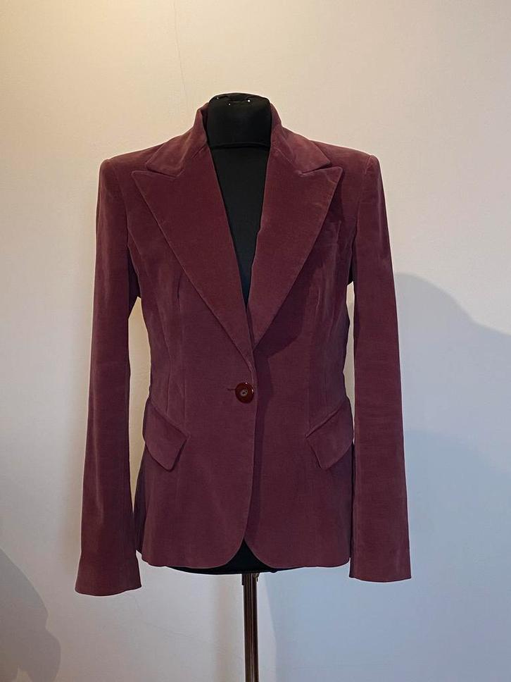 Prachtig fluwelen Dolce & Gabbana blazer, maat 38 😍, Kleding | Dames, Jasjes, Kostuums en Pakken, Zo goed als nieuw, Jasje, Maat 38/40 (M)