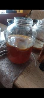 Kombucha SCOBY Starter - Gezond en Levend!, Ophalen, Nieuw