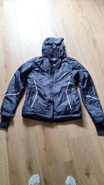Jas winter, Kleding | Dames, Blauw, Ophalen, Maat 38/40 (M), Crivit