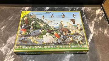 Jigsaw puzzel James Hamilton 1000 stukjes Falcons beschikbaar voor biedingen