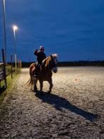 200W led Paardenbak - Rijbak verlichting 200watt LED nieuw, Ophalen of Verzenden, Nieuw, Licht
