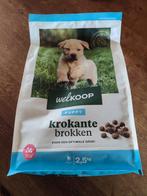 Welkoop puppy brokken, Ophalen of Verzenden, Hond