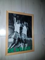 Fotolijst 1996 Nederlands elftal 32 x 23 cm, Verzamelen, Ophalen of Verzenden, Spelerskaart