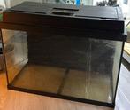 Aquarium 60 x 30 x 35 met hele mooie achterwand, Dieren en Toebehoren, Vissen | Aquaria en Toebehoren, Ophalen, Zo goed als nieuw