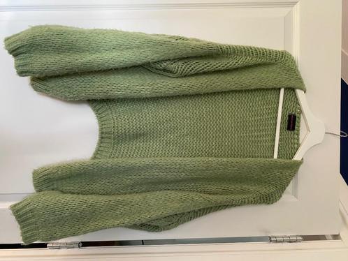 Leuk vest te koop van Meet me There, Kleding | Dames, Truien en Vesten, Gedragen, Groen, Ophalen of Verzenden