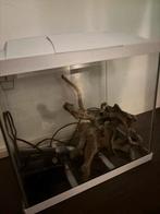 Aquarium 60 liter inc toebehoren, Dieren en Toebehoren, Ophalen of Verzenden, Zo goed als nieuw, Leeg aquarium