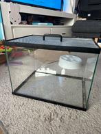 Koppelbak met splitsysteem van hout en kippengaas, Zo goed als nieuw, Ophalen, Minder dan 60 cm, Minder dan 75 cm