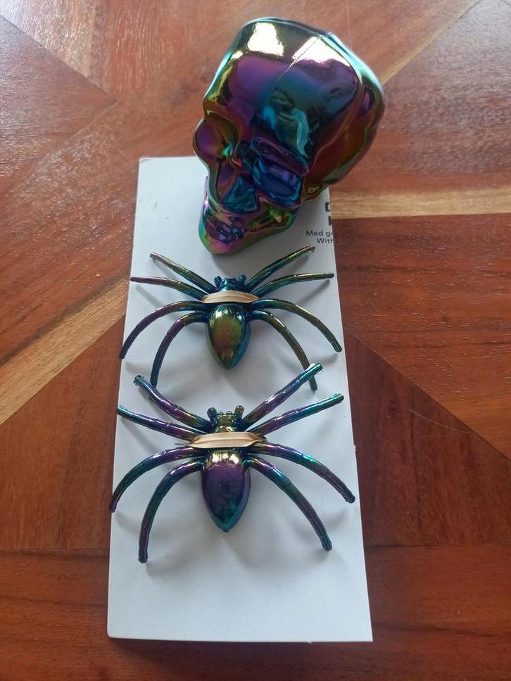Halloween Decoratie: Schedel & Spinnen - Nieuw!, Huis en Inrichting, Woonaccessoires | Overige, Nieuw, Ophalen